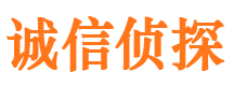 日喀则侦探